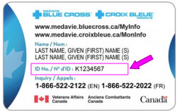 medavie blue cross veterans affairs canada